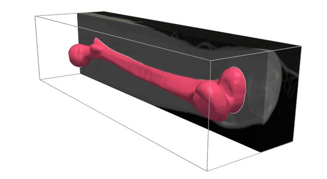 Swiss Startup - Shapemeans Main Image