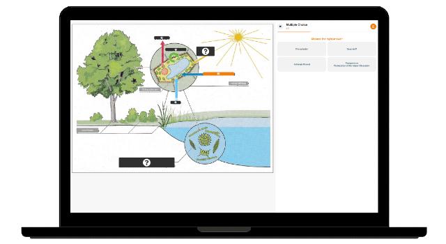 Swiss Startup - Smartest Learning Main Image