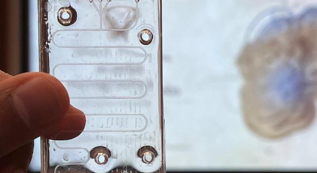 Swiss Startup - SpacePharma Main Image