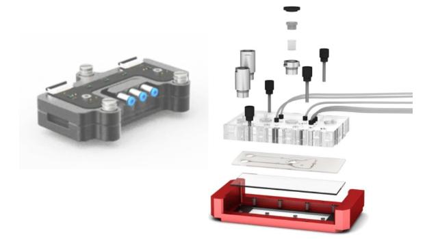 Swiss Startup - Damant Management Team Image