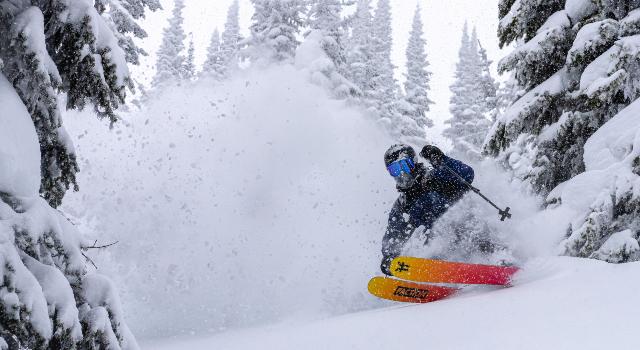 Swiss Startup - The Faction Collective Main Image