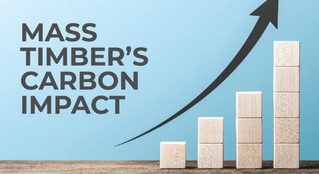 Swiss Startup - Timber Finance Main Image