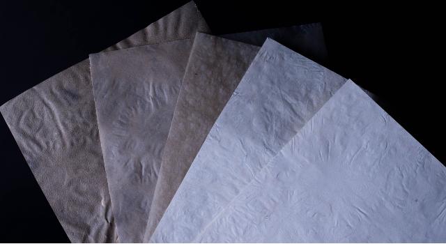 Swiss Startup - Treeless Product Image