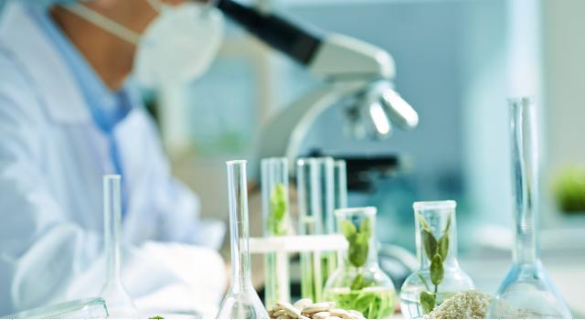 Swiss Startup - TwentyGreen Team Image