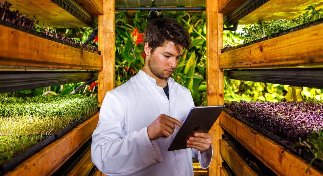 Swiss Startup - UMAMI Main Image