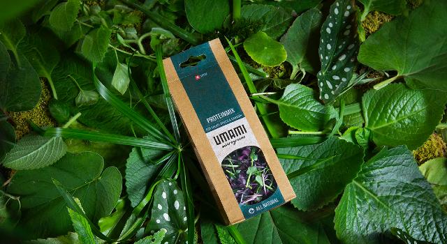 Swiss Startup - UMAMI Team Image