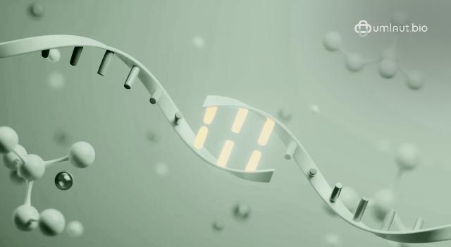 Swiss Startup - Umlaut.bio Main Image