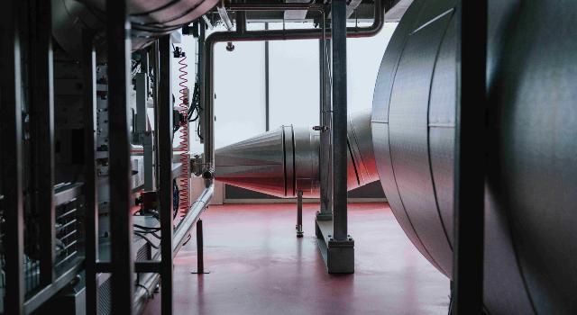 Swiss Startup - UpGrain Main Image