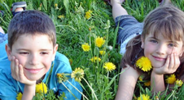 Swiss Startup - Viavac Main Image