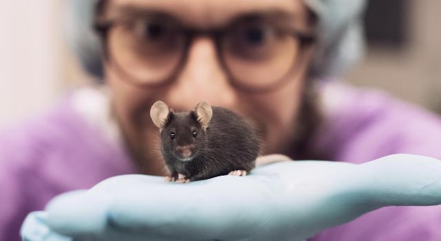 Swiss Startup - Vigilitech Additional Image