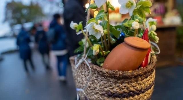 Swiss Startup - Wepot Additional Image