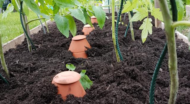 Swiss Startup - Wepot Main Image