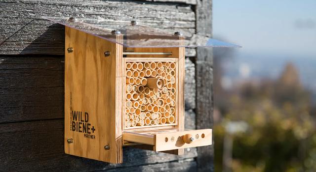 Swiss Startup - Wildbiene + Partner Main Image