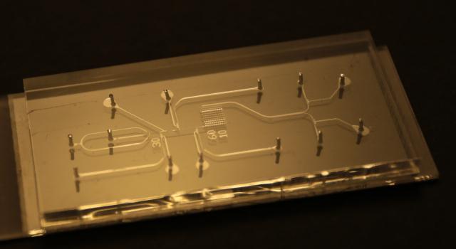 Swiss Startup - Wunderlichips Main Image