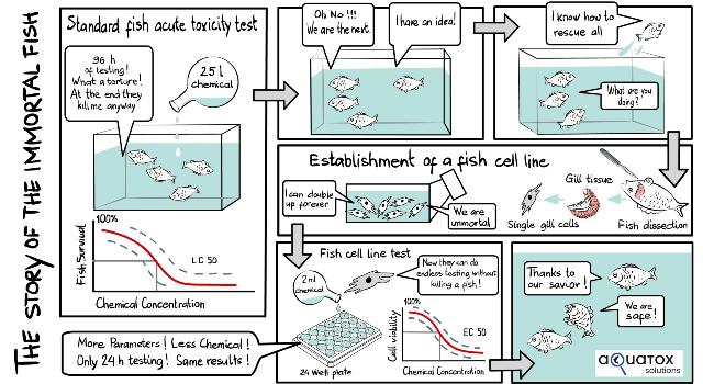 Swiss Startup - aQuaTox-Solutions Product Image
