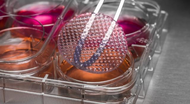 Swiss Startup - abc biopply Product Image