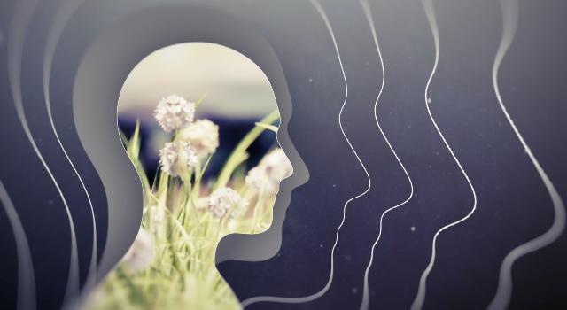 Swiss Startup - Audiobreeze Main Image