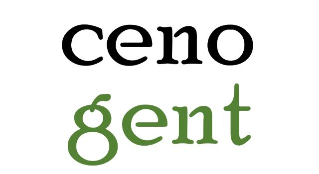 Swiss Startup - cenogent GmbH (GoodNite to be founded) Main Image