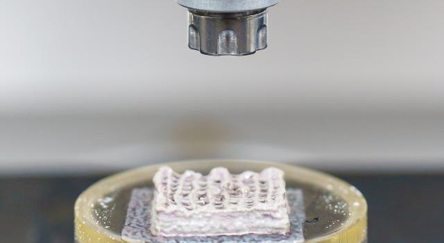 Swiss Startup - CompagOs Additional Image