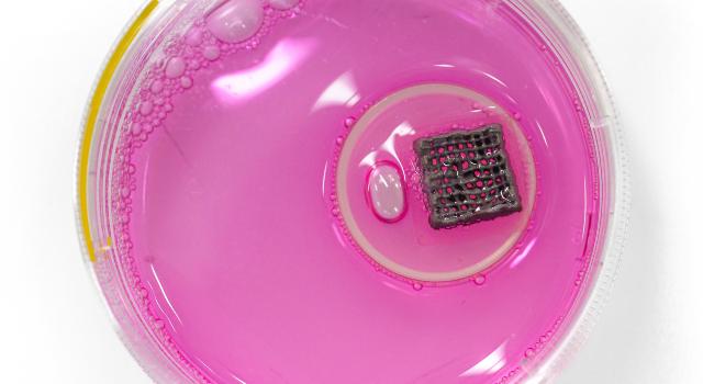 Swiss Startup - CompagOs Product Image