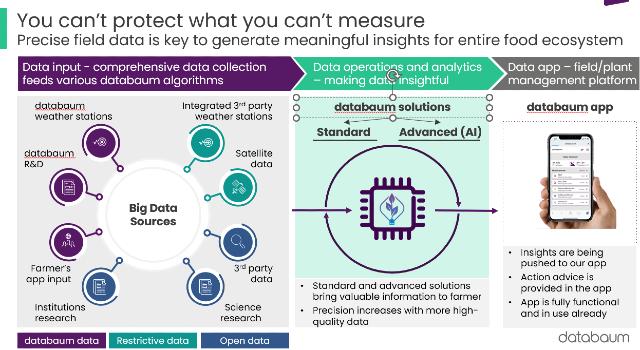 Swiss Startup - databaum Product Image