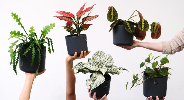 Swiss Startup - feey Additional Image