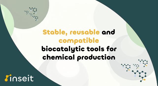 Swiss Startup - inSEIT Main Image