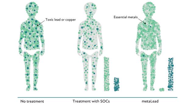Swiss Startup - metaLead Therapeutics Team Image