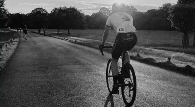 Swiss Startup - obseed Main Image