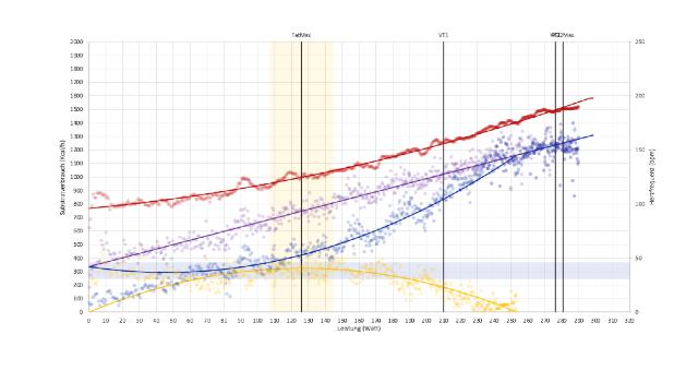 Swiss Startup - obseed Product Image