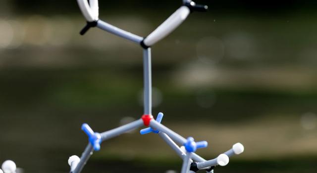 Swiss Startup - siloxene Main Image