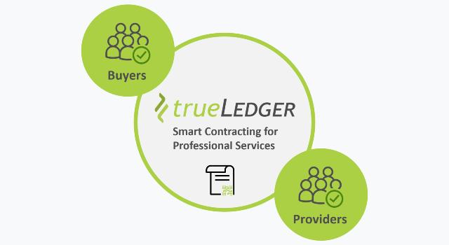 Swiss Startup - trueLedger Product Image