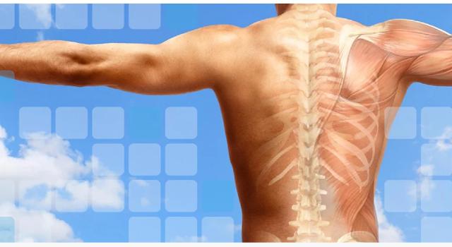 Swiss Startup - wellwave.net Main Image